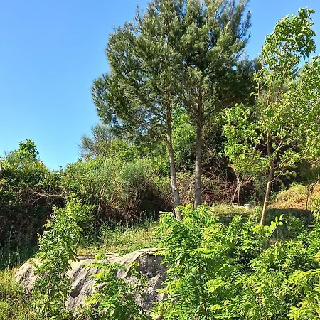 Rozafa Hill View * Shkodër